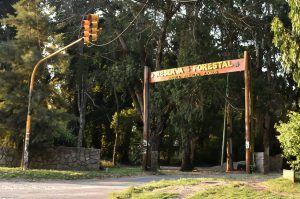 Violencia en el Bosque Peralta Ramos: balearon a un motociclista por chocar a una nena de 5 años