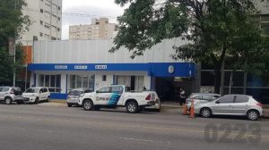 Inseguridad en el centro de Mar del Plata: asaltaron a un hombre y se llevaron más de un millón de pesos