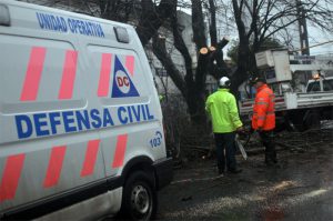 Año nuevo en Mar del Plata: como funcionaban las guaridas de los servicios municipales