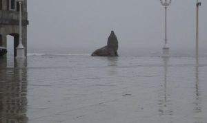 La Feliz entre lluvias y viento: El clima en Mar del Plata