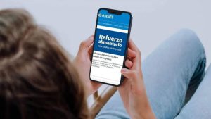“Refuerzo alimentario”: cuando cobro la segunda cuota de $22.500