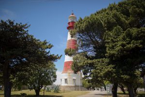 Reclaman mas seguridad en el Faro de la Memoria