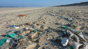 Esteban “Teby” Poloni volvió a destacar la falta de limpieza en las playas