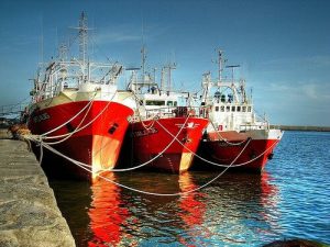 Redujeron la cantidad de buques pesqueros inactivos en el Puerto