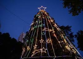 El árbol de navidad de Mar del plata se encenderá este jueves en la Plaza San Martín