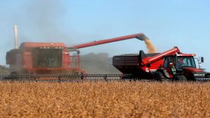 Sequía: en el último mes se habrían perdido otras 15 millones de toneladas entre soja y maíz