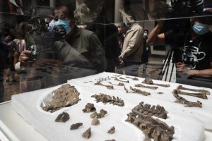 Hallazgo histórico de fósiles de megarraptores y dinosaurios emplumados en Chile