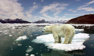 La NASA en alerta por la pérdida acelerada de graciares y hielo en la Antártida