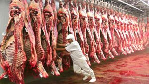 Los exportadores piden que se evalúe un posible “dólar carne”