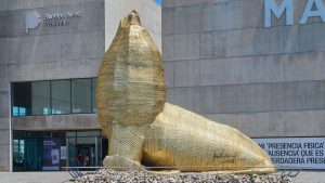 Verano Gurú: Actividades en el Museo de Mar del Plata