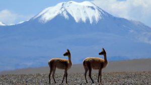 Medio ambiente: Las montañas, que albergan el 80% de agua dulce mundial, están en riesgo