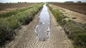 Entre Ríos atraviesa la peor sequía de los últimos 60 años