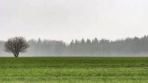 Un sector del campo afirma que las últimas lluvias significan el fin de la sequía