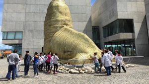 Cine mexicano gratuito en el Museo Mar