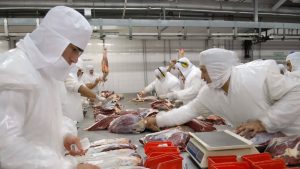 Argelia volverá a comprar carne con hueso a la Argentina