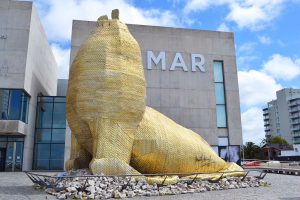 Mar del Plata: cómo estará el clima en la mañana del miércoles 8 de marzo