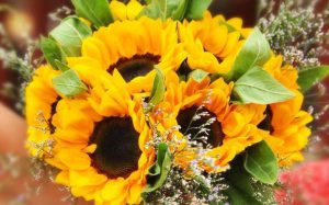 Llega la primavera y estalla la venta de flores amarillas: ¿Qué significan y por qué se regalan el 21 de septiembre?