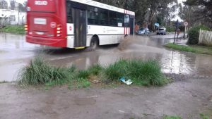 Alarma en Camet: La UNMDP encuentra residuos de agroquímicos en el agua de lluvia