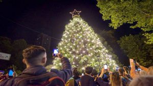 Mar del Plata encendió su árbol de Navidad