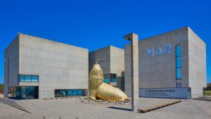 Museo MAR: dos películas sobre el medio ambiente se proyectarán en el lugar