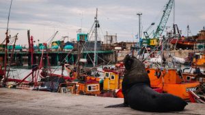 Mar del Plata en The New York Times