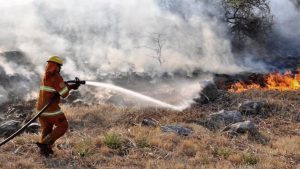 Jujuy, Salta, Catamarca, Córdoba y Entre Ríos registran incendios forestales