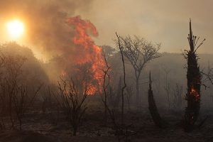 Córdoba en alerta por los incendios