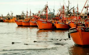El Puerto de Mar del Plata demuestra su preocupación ante la falta de avance en el proyecto de exploración petrolera