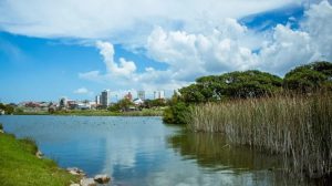 Crearán un Parque Ambiental en Punta Mogotes