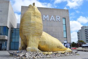 Museo MAR: Charlas y actividades imperdibles durante el verano