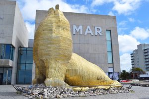 Semana Santa en Mar del Plata: todas las actividades para hacer en el Museo Mar