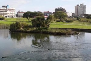 Mar del Plata: llaman a licitación para la creación del Parque Ambiental en Punta Mogotes