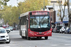 Mar del Plata: cómo van a funcionar hoy los colectivos