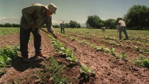 El campo rechazó el pago de un bono de $50 mil para trabajadores rurales
