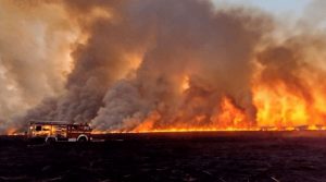 Se incendian 10.000 hectáreas en el Delta del Río Paraná