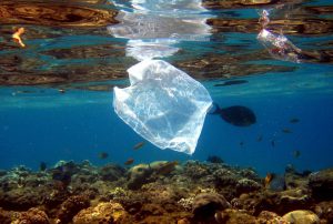 La problemática ambiental de nuestros océanos: los plásticos en el mar argentino