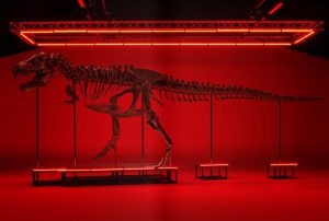 Subastan un esqueleto de un tiranosaurio Rex en Suiza