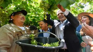 Vitivinicultura: Sergio Massa afirmó que se destinarán $10.000 millones para apoyar al sector
