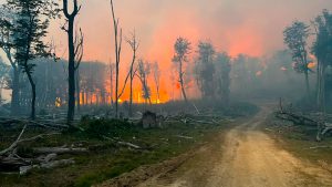 Incendios forestales en Tierra del Fuego: “La situación está descontrolada”
