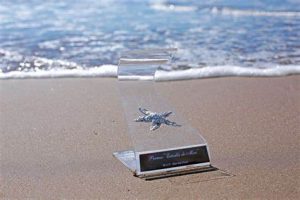 Premios Estrella de Mar 2024: Mar del Plata se viste de gala y junto a MMX estaremos ahí