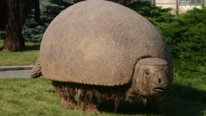 Dos hermanos hallaron fósiles de un armadillo gigante en Mar del Plata