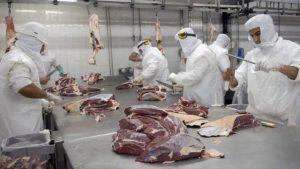 El ingreso de dólares por exportaciones de carne bovina se derrumbó durante el verano
