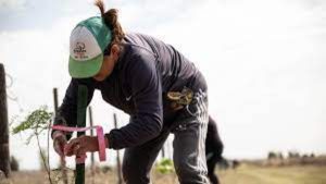 Plantaron árboles en San Luis para mitigar los efectos del cambio climático