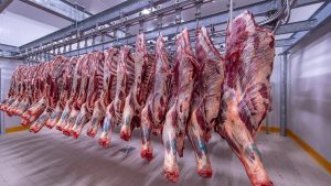 Un sector de trabajadores de la carne afirma que “empujar la camilla con 100 kilos no es fácil”