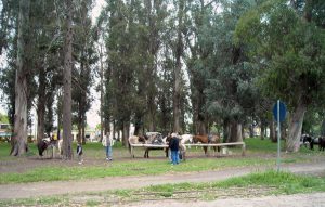 Inauguran un playón multifuncional en Parque Camet