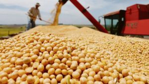 La venta de soja ronda el millón de toneladas en los primeros 3 días