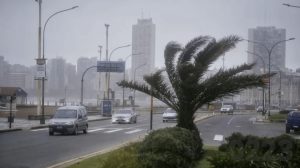 Alerta amarilla por fuertes vientos en Mar del Plata