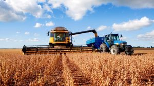 Campo: las últimas lluvias no alcanzaron para aliviar la cosecha de soja y maíz