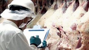 Argentina vuelve a exportar carne vacuna a México tras 22 años