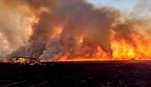 El fuego de Entre Ríos ya alcanza a CABA y alrededores